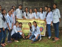 Tree-Plantation-Drive